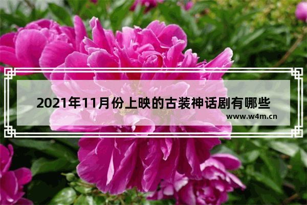 2021年11月份上映的古装神话剧有哪些 最新电影古装神话电影有哪些名字呢