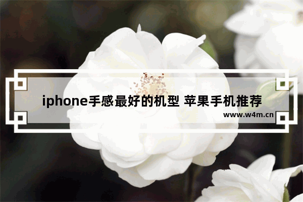 iphone手感最好的机型 苹果手机推荐性价比最新机型有哪些呢