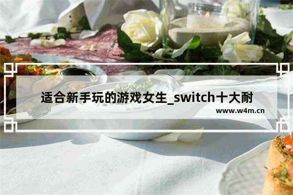 适合新手玩的游戏女生_switch十大耐玩模拟经营游戏