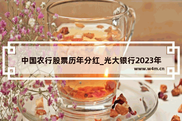 中国农行股票历年分红_光大银行2023年分红