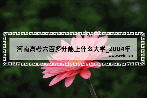 河南高考六百多分能上什么大学_2004年河南高考录取分数线及排名