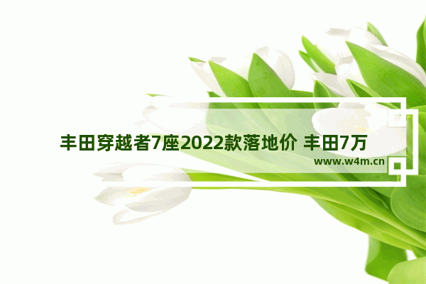 丰田穿越者7座2022款落地价 丰田7万左右新车推荐一下车型