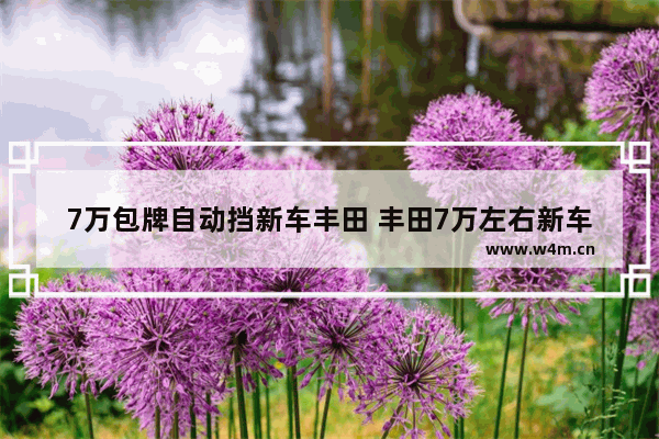 7万包牌自动挡新车丰田 丰田7万左右新车推荐价格多少合适买车