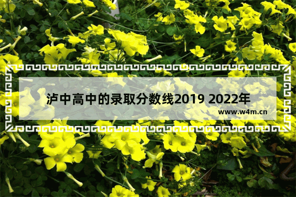 泸中高中的录取分数线2019 2022年蔺阳高考分数线