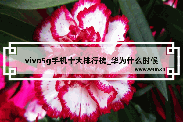 vivo5g手机十大排行榜_华为什么时候能出五g手机