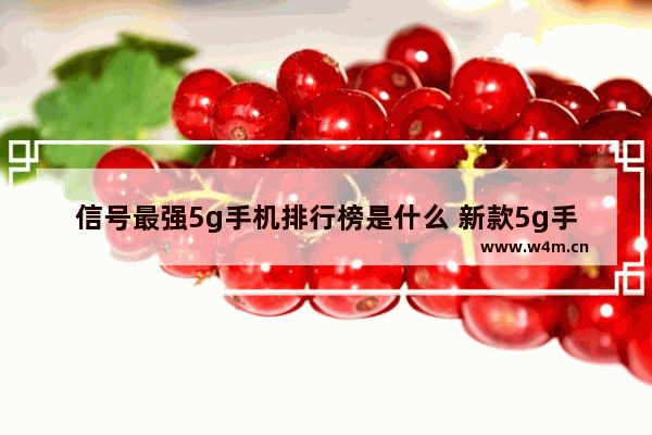 信号最强5g手机排行榜是什么 新款5g手机推荐哪款好