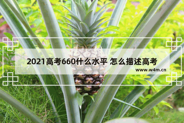 2021高考660什么水平 怎么描述高考分数线高的人