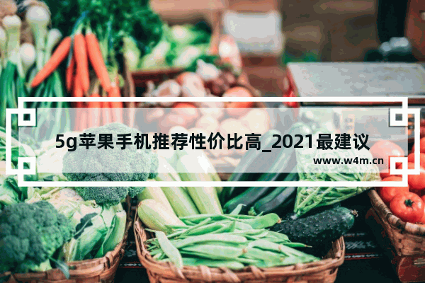 5g苹果手机推荐性价比高_2021最建议买的苹果三款手机5g