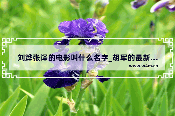 刘烨张译的电影叫什么名字_胡军的最新电影