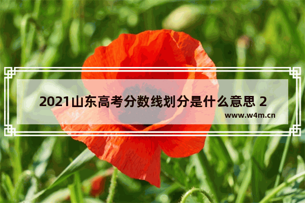 2021山东高考分数线划分是什么意思 2021高考分数线怎么划分山东