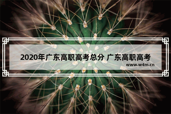 2020年广东高职高考总分 广东高职高考分数线专业