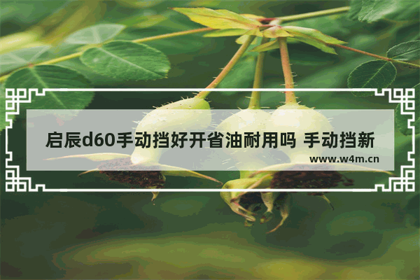 启辰d60手动挡好开省油耐用吗 手动挡新车推荐哪款车好开省油耐用点