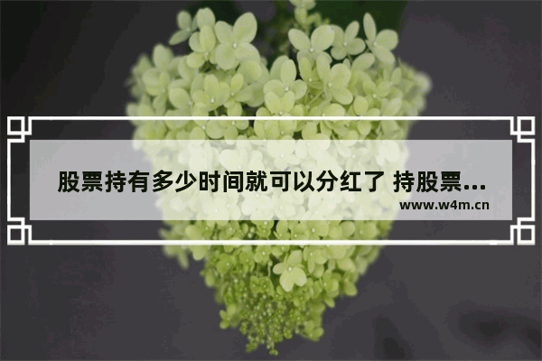 股票持有多少时间就可以分红了 持股票多久才有分红