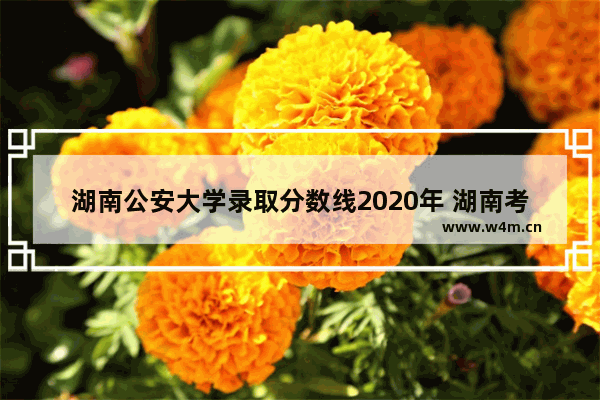 湖南公安大学录取分数线2020年 湖南考警官学院高考分数线