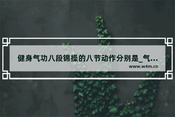 健身气功八段锦操的八节动作分别是_气功八段锦和甩手功那个好