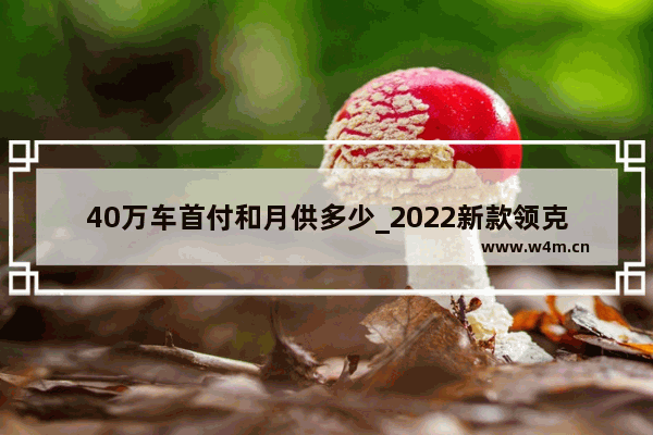 40万车首付和月供多少_2022新款领克首付5万月供多少