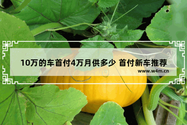 10万的车首付4万月供多少 首付新车推荐2万到4万