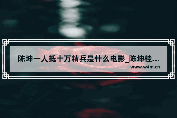 陈坤一人抵十万精兵是什么电影_陈坤桂纶镁欧阳娜娜演的电影