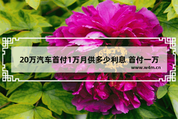 20万汽车首付1万月供多少利息 首付一万新车推荐买什么
