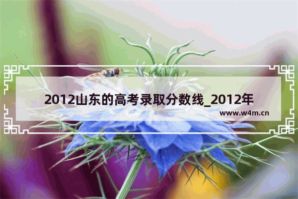 2012山东的高考录取分数线_2012年内蒙古高考分数线