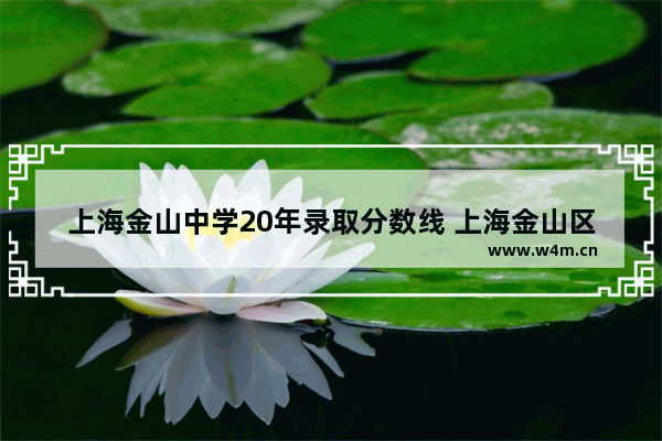 上海金山中学20年录取分数线 上海金山区高考分数线