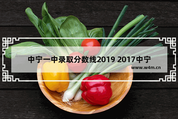 中宁一中录取分数线2019 2017中宁高考分数线