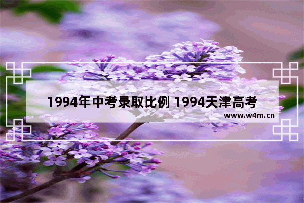 1994年中考录取比例 1994天津高考分数线