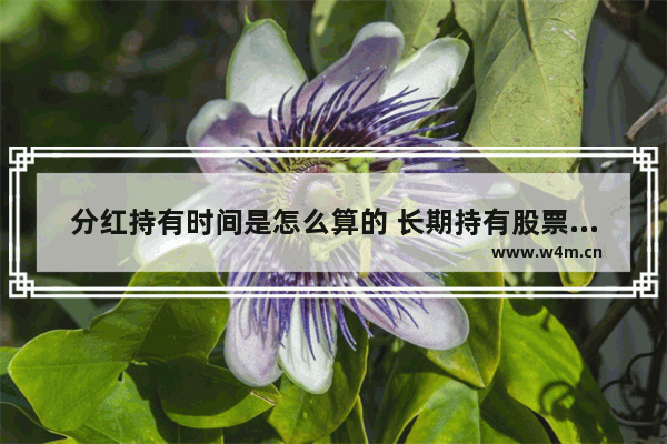 分红持有时间是怎么算的 长期持有股票分红 税收