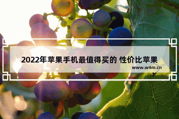 2022年苹果手机最值得买的 性价比苹果手机推荐哪款好