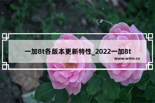 一加8t各版本更新特性_2022一加8t还值得买吗