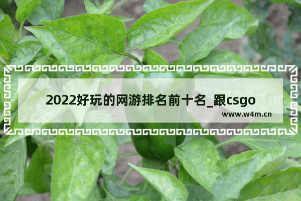 2022好玩的网游排名前十名_跟csgo相似的电脑游戏