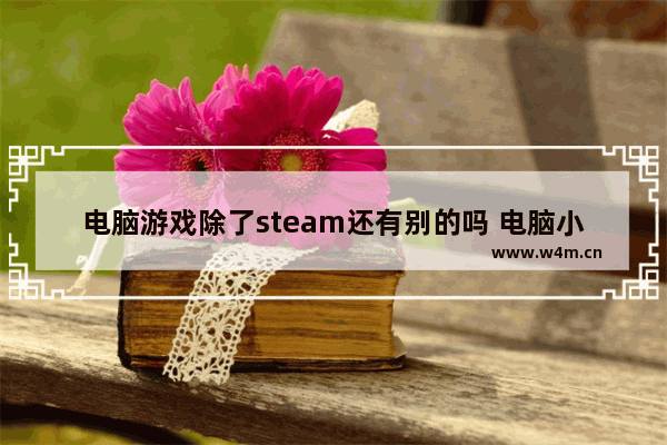 电脑游戏除了steam还有别的吗 电脑小游戏推荐不用steam