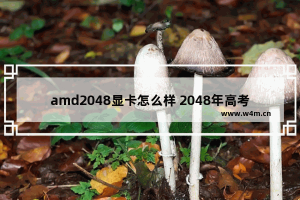 amd2048显卡怎么样 2048年高考分数线预测