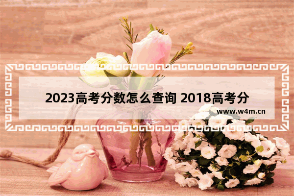 2023高考分数怎么查询 2018高考分数线啥时出