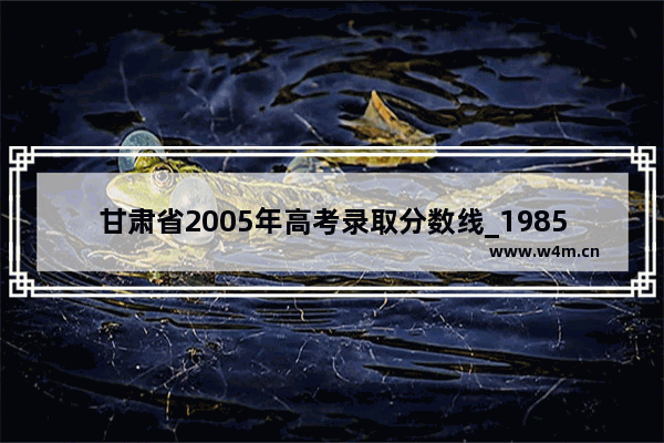 甘肃省2005年高考录取分数线_1985年甘肃高考本科录取分数线