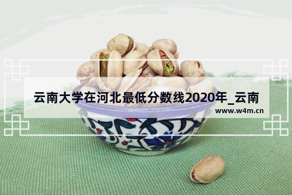 云南大学在河北最低分数线2020年_云南大学往年录取分数线