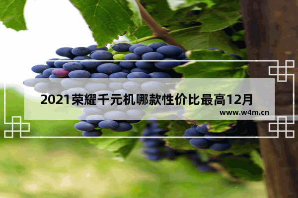 2021荣耀千元机哪款性价比最高12月 荣耀手机千元手机推荐哪款好一点