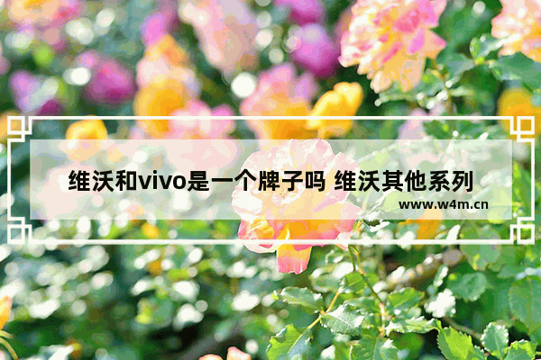 维沃和vivo是一个牌子吗 维沃其他系列手机推荐哪个