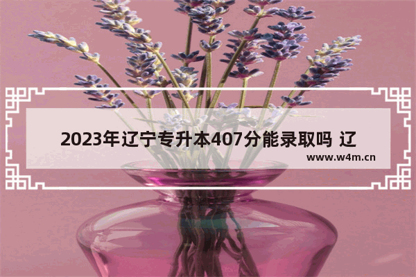 2023年辽宁专升本407分能录取吗 辽宁科技学院高考分数线