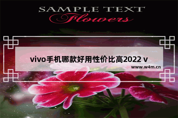 vivo手机哪款好用性价比高2022 vivo手机推荐性价比高最新款型号