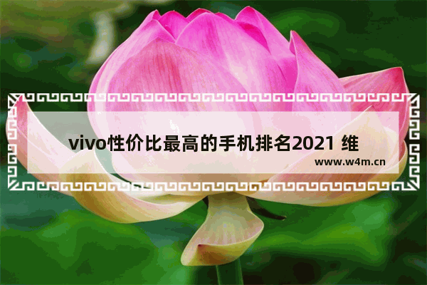 vivo性价比最高的手机排名2021 维沃最新款手机推荐