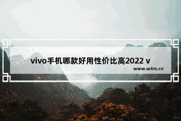 vivo手机哪款好用性价比高2022 vivo手机推荐性价比高排行榜最新