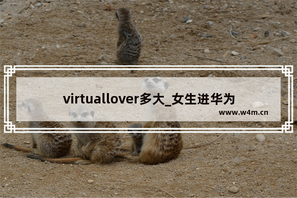 virtuallover多大_女生进华为好吗