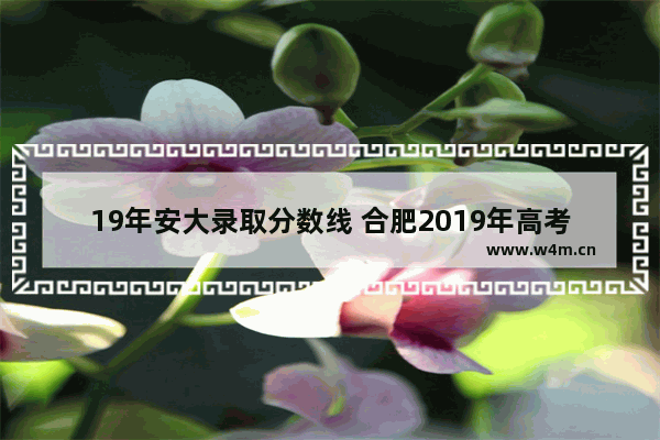 19年安大录取分数线 合肥2019年高考分数线