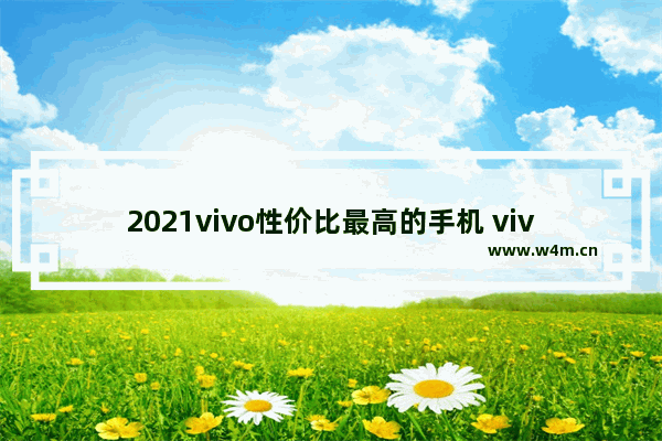 2021vivo性价比最高的手机 vivo手机推荐性价比高内存大不卡顿