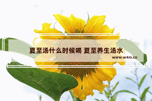 夏至汤什么时候喝 夏至养生汤水