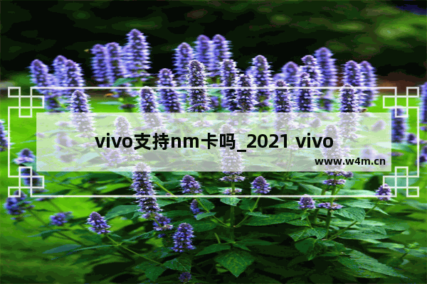 vivo支持nm卡吗_2021 vivo1000左右像素好的手机