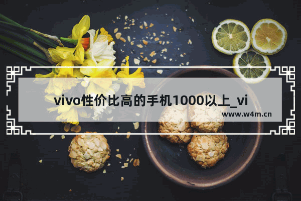 vivo性价比高的手机1000以上_vivo手机能用多大的内存卡