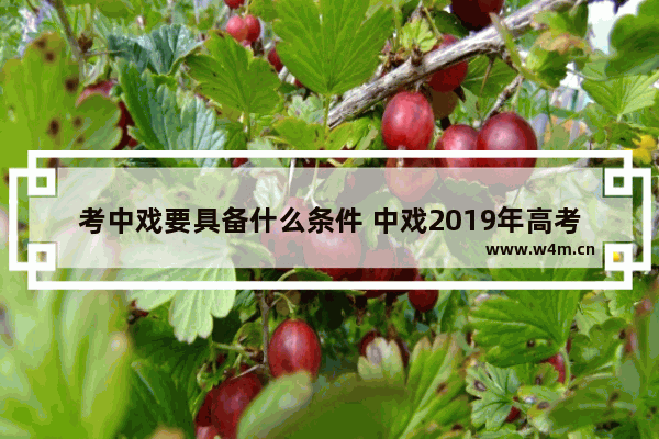 考中戏要具备什么条件 中戏2019年高考分数线