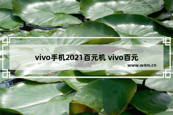 vivo手机2021百元机 vivo百元快充手机推荐哪款好